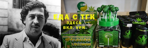 PSILOCYBIN Бородино