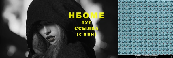 PSILOCYBIN Бородино