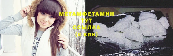PSILOCYBIN Бородино