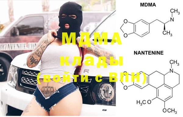 PSILOCYBIN Бородино