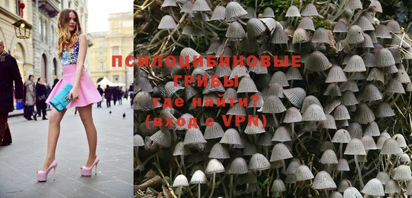 PSILOCYBIN Бронницы