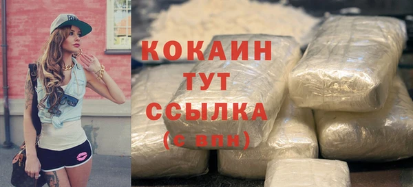 PSILOCYBIN Бронницы