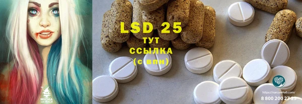 PSILOCYBIN Бородино